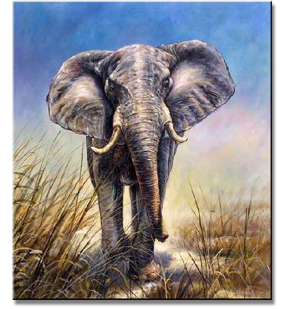 Elephant I