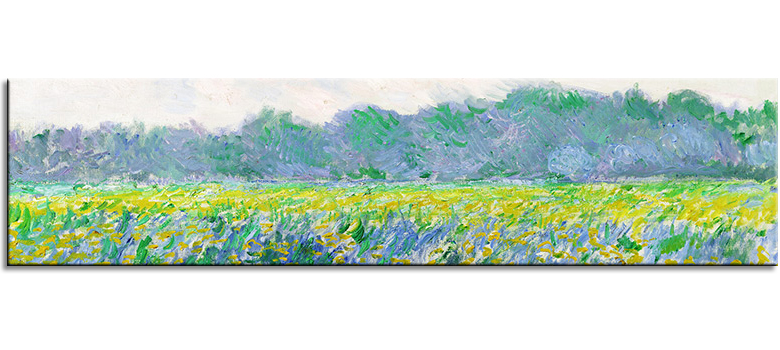 01 Flower Landscape
