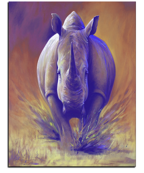 01 Running Rhino