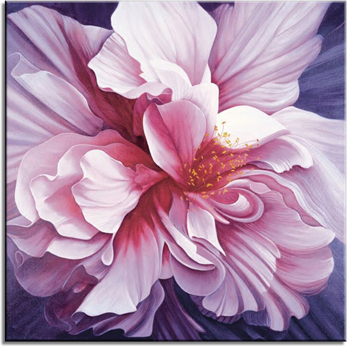 Pink Peony III
