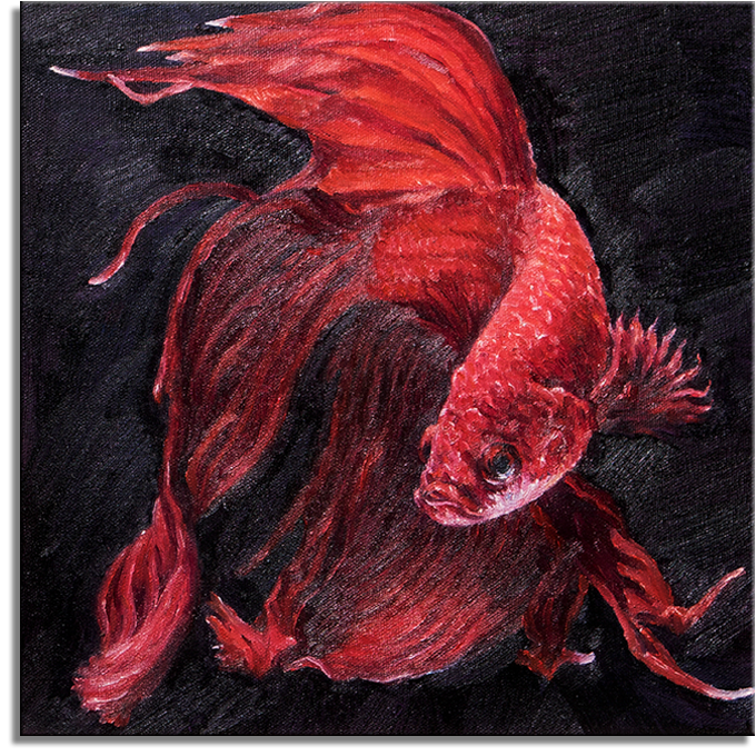 Red Betta Fish