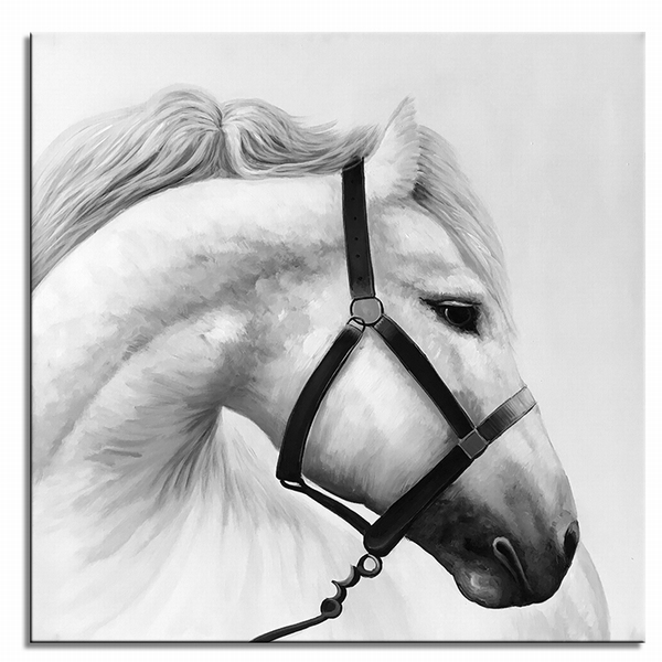 White Stallion