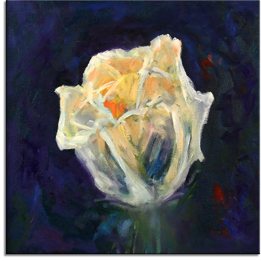 Perfect White Rose