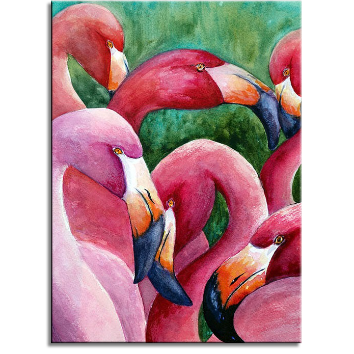 Flamingos