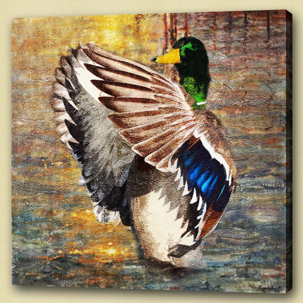 Duck Beauty