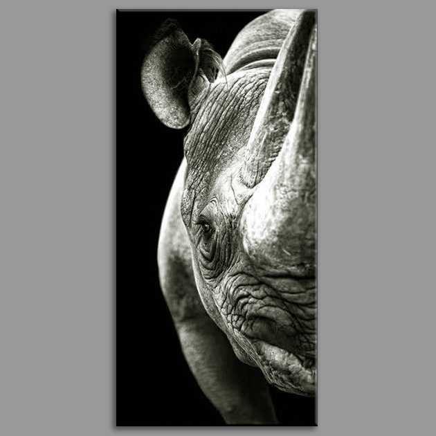 Rhino