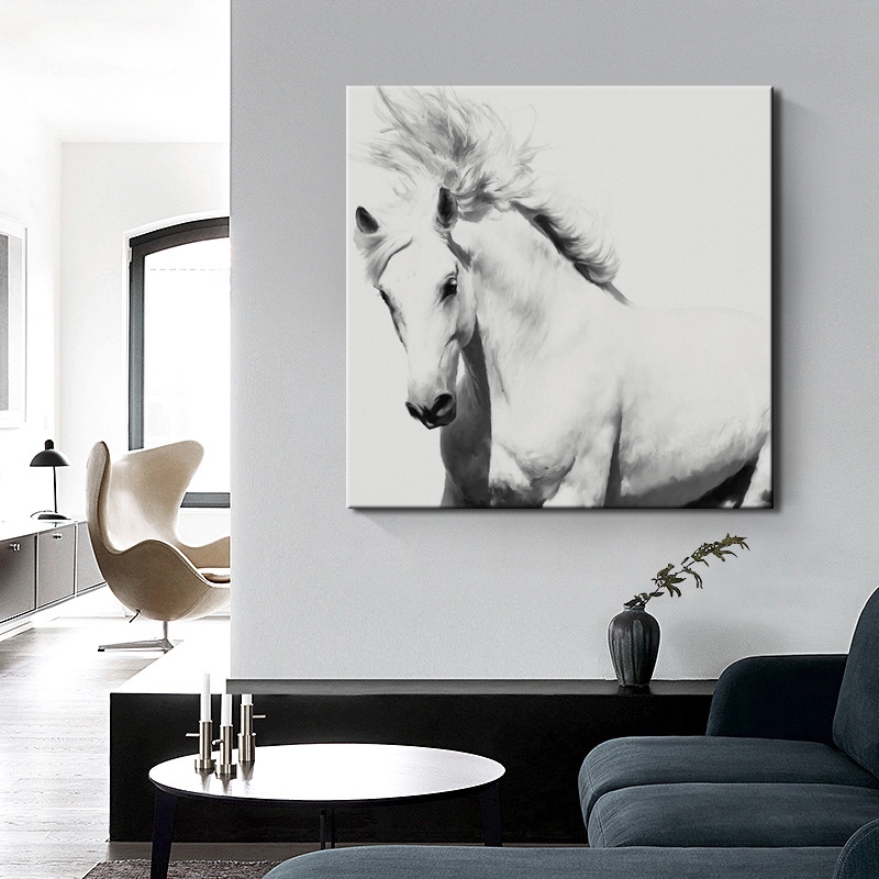 Stallion